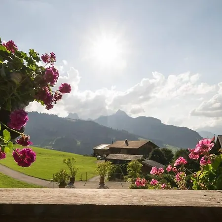 Holiday home Duplex Flat - Amazing With Pond *