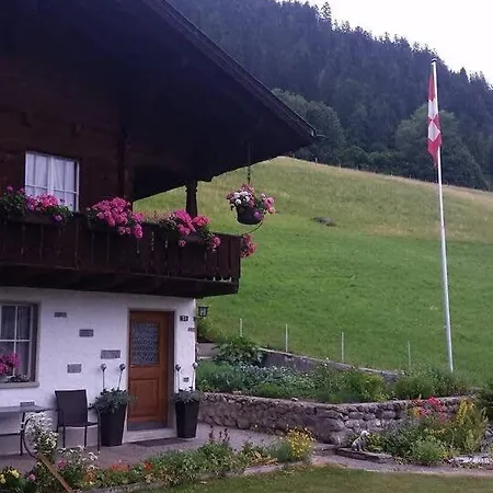 Duplex Flat - Amazing With Pond Gstaad