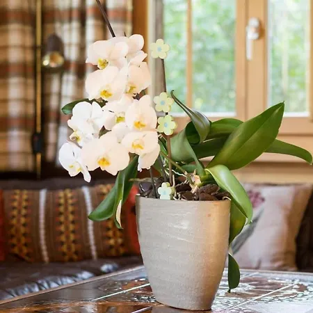 Holiday home Duplex Flat - Amazing With Pond Gstaad